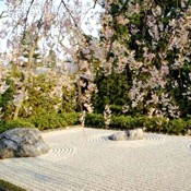 Zen Garden