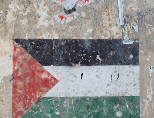 ASIA per Gaza