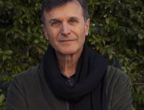 Meditare con gli animali: 8 esercizi di mindfulness nella natura